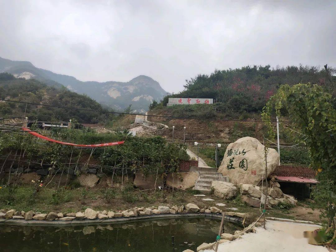 退休了还能挂证吗游戏画面