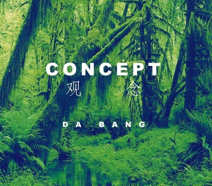 小猫钓鱼正版下载中文版