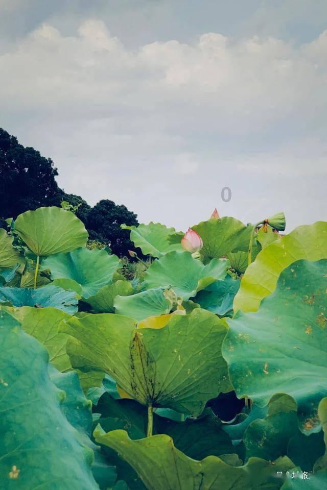 极限摩托车大赛