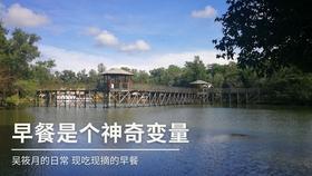 退休了还能挂证吗游戏画面