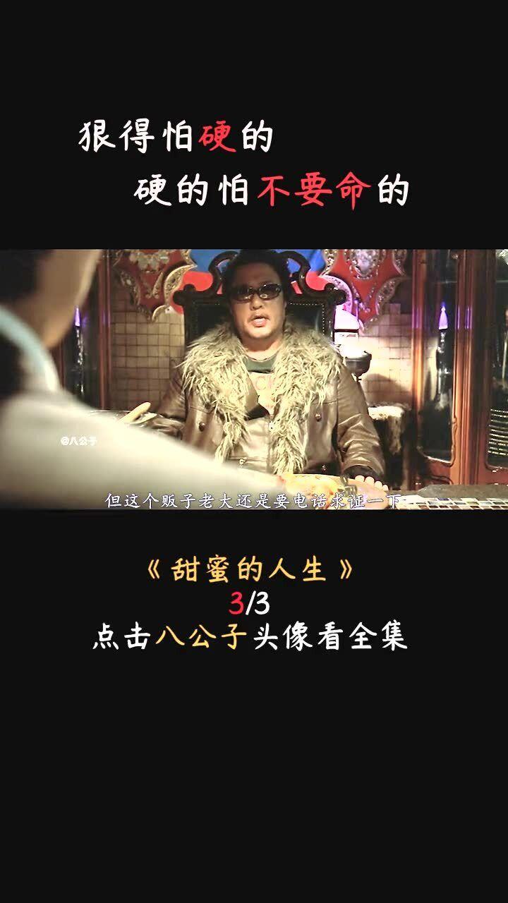 创作猫