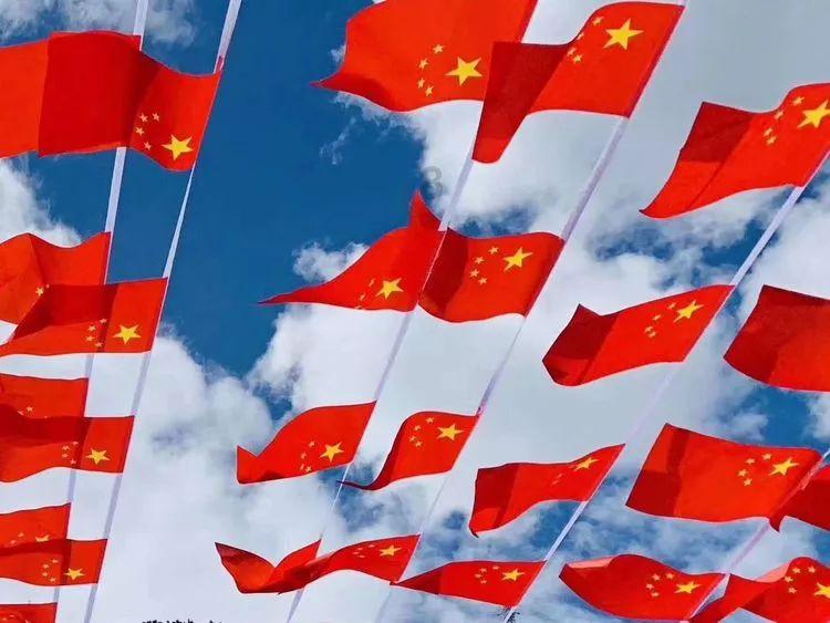 主人在医院死亡，忠犬每天守在医院门口，已经守了四个月仍在继续