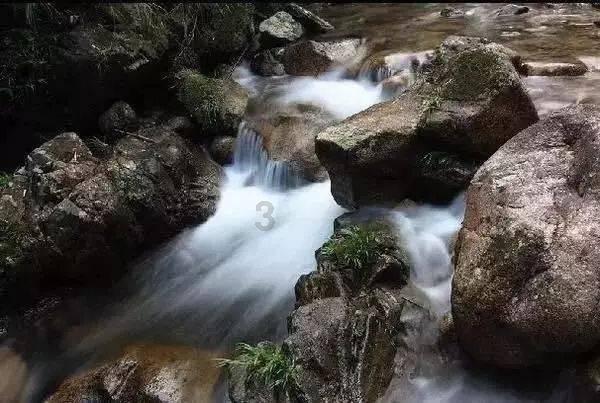 逃出猫头鹰岛
