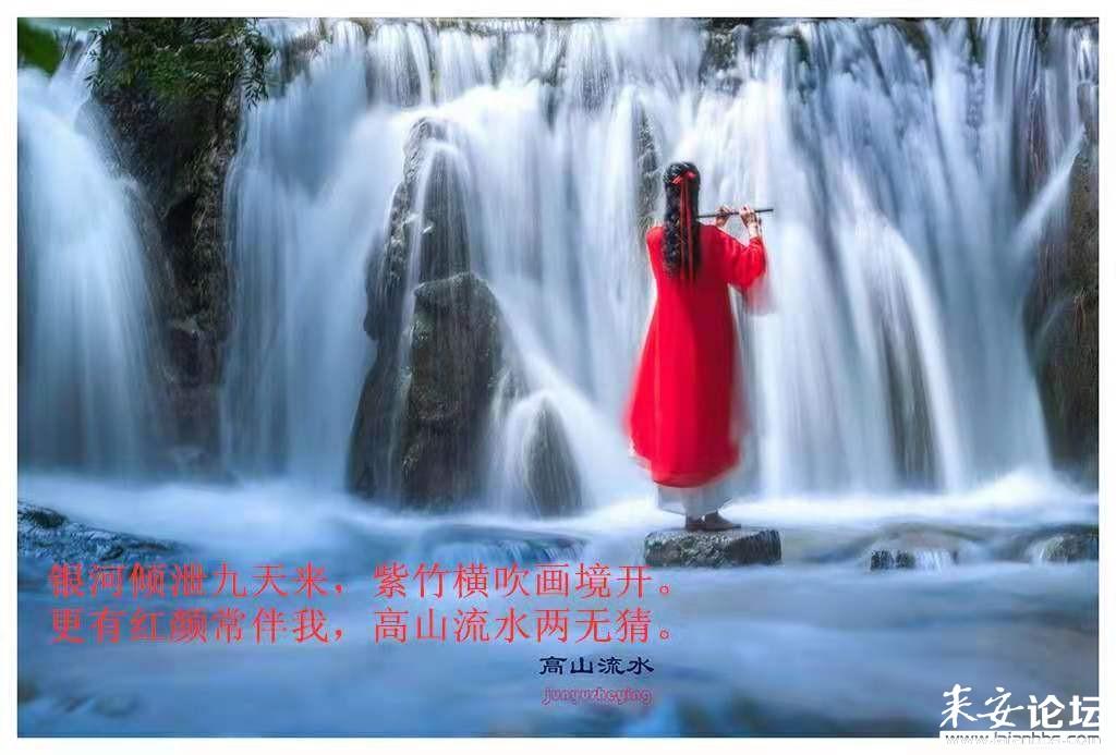 午夜的猎人
