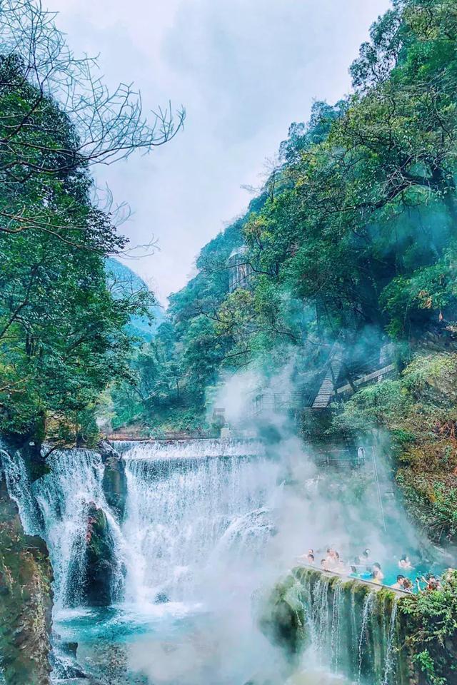 幻境森林大逃生