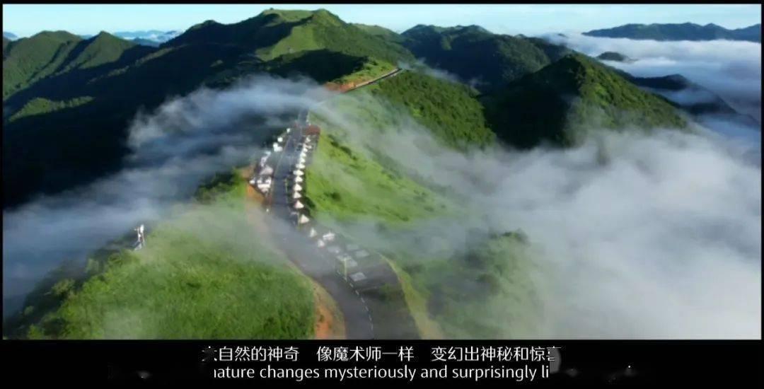 记者:热刺有意法兰克福中卫帕乔,已询问球员信息并数次现场考察