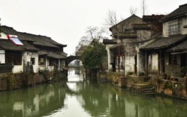 几月狗最有福气 82年几月狗最有福气